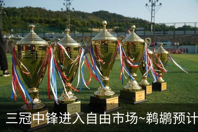 三冠中锋进入自由市场~鹈鹕预计将拒绝卢尼价值800万的球队选项