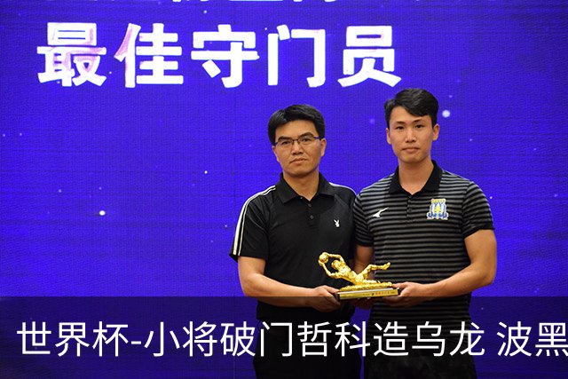 世界杯-小将破门哲科造乌龙 波黑3-1卡塔尔小组第三
