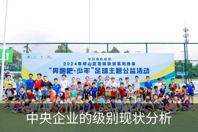 中央企业的级别现状分析