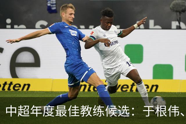 中超年度最佳教练候选：于根伟、谢晖在列