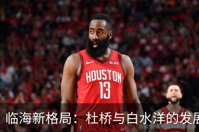 临海新格局：杜桥与白水洋的发展潜力分析