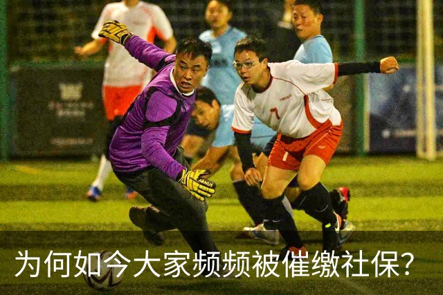 为何如今大家频频被催缴社保？