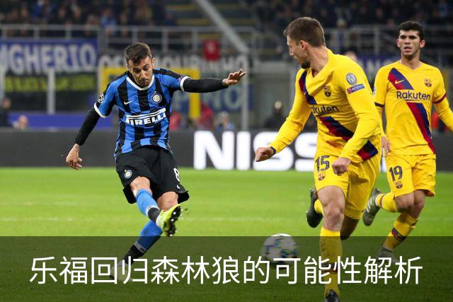 乐福回归森林狼的可能性解析