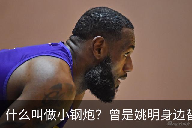 什么叫做小钢炮？曾是姚明身边替补！20年NBA赚2.82亿