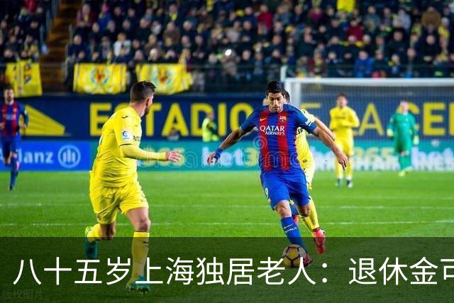 八十五岁上海独居老人：退休金可观，却成给保姆打工