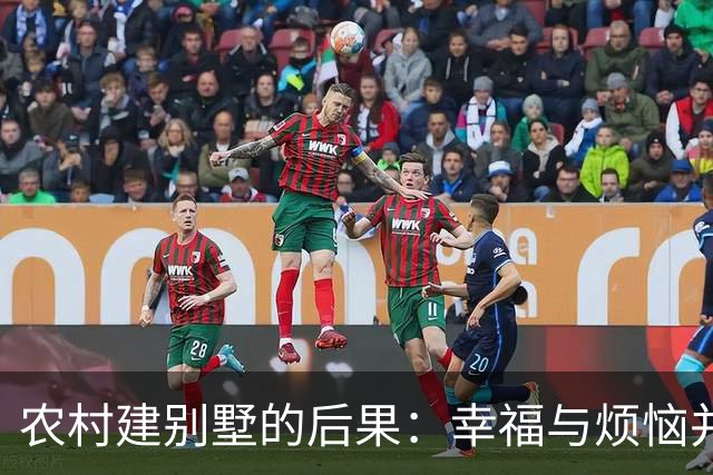 农村建别墅的后果：幸福与烦恼并存
