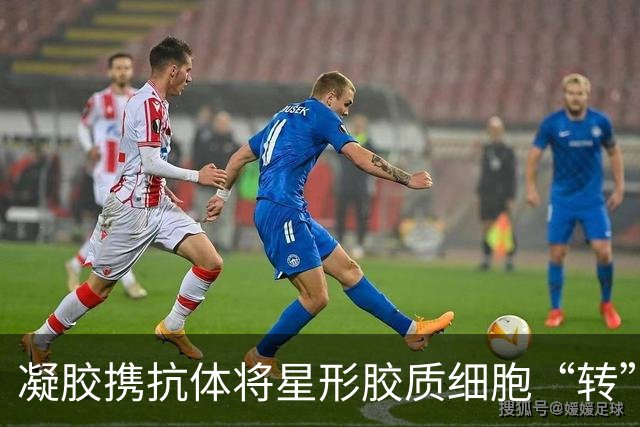 凝胶携抗体将星形胶质细胞“转”为神经元的新思路