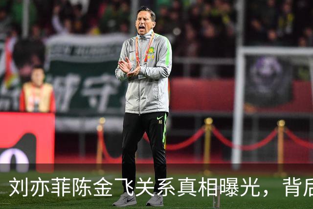 刘亦菲陈金飞关系真相曝光，背后的故事揭开！