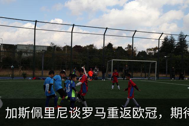 加斯佩里尼谈罗马重返欧冠，期待团队实力检验