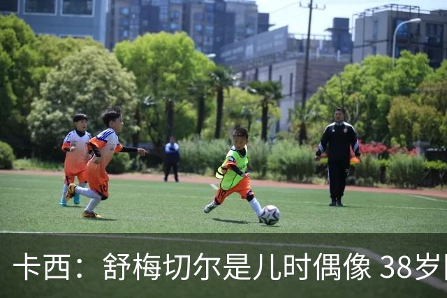 卡西：舒梅切尔是儿时偶像 38岁因心脏问题不得不选择退役