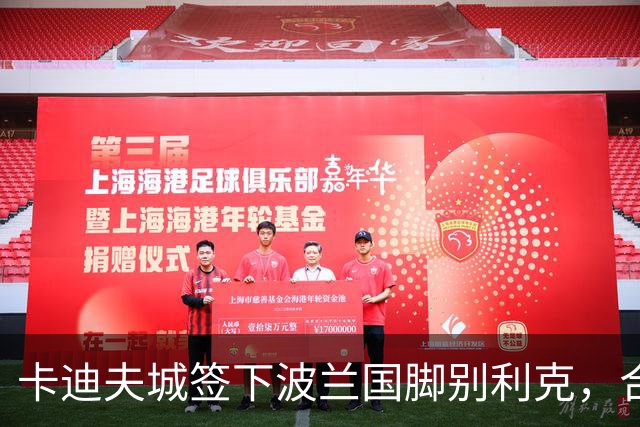 卡迪夫城签下波兰国脚别利克，合同期三年