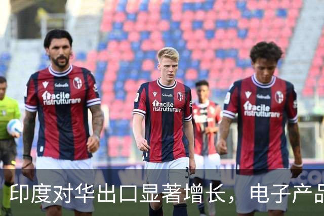 印度对华出口显著增长，电子产品成主力