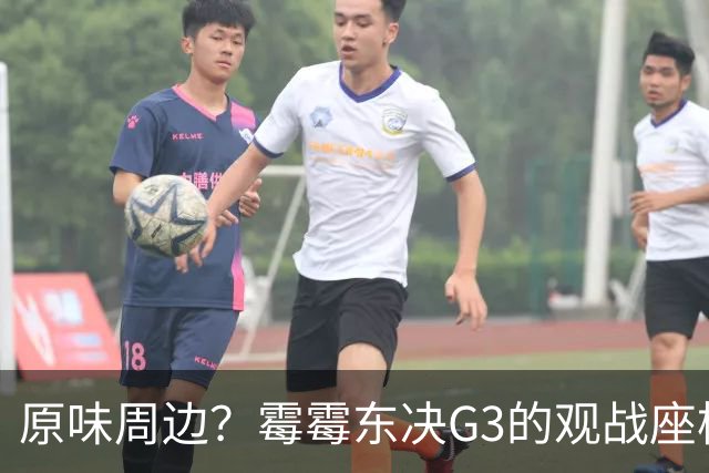 原味周边？霉霉东决G3的观战座椅开拍 目前最高出价为800美元
