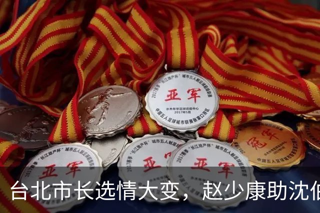 台北市长选情大变，赵少康助沈伯洋逆转局势