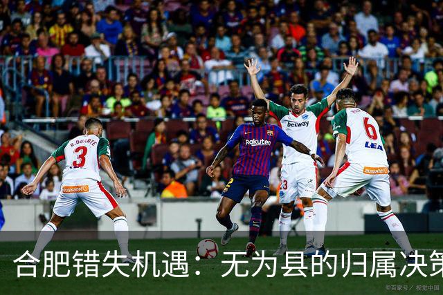 合肥错失机遇：无为县的归属决策影响深远