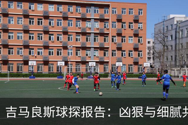 吉马良斯球探报告：凶狠与细腻共存，阿森纳这7500万花的太值