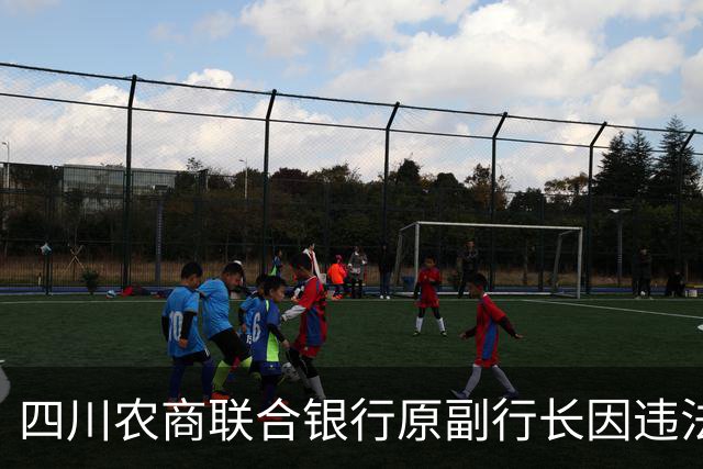 四川农商联合银行原副行长因违法行为获刑13年