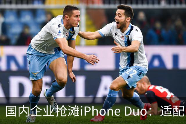 国内企业抢滩iPhone Duo：适配战火已燃