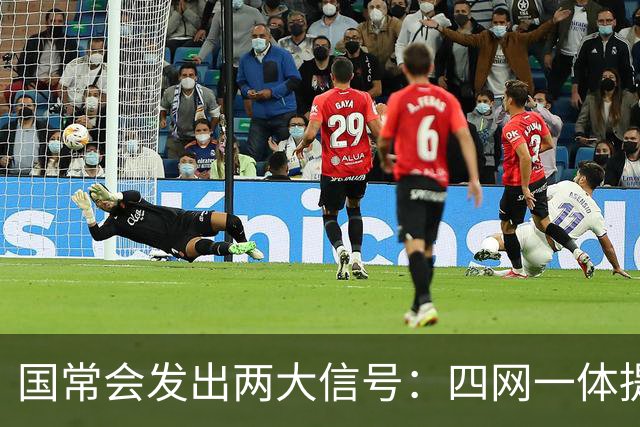 国常会发出两大信号：四网一体提速与强力清欠