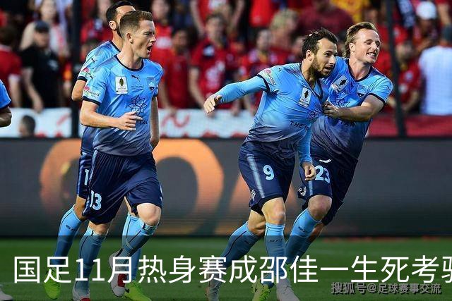 国足11月热身赛成邵佳一生死考验，土帅接替呼声渐高