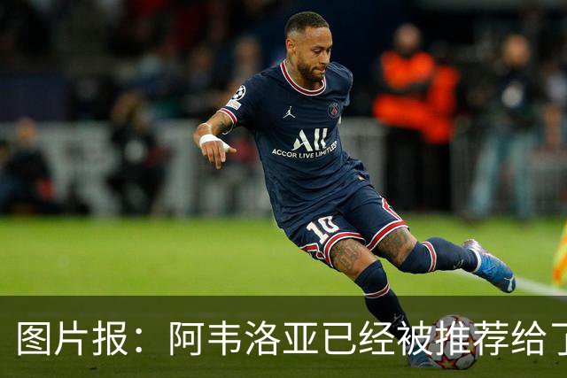 图片报：阿韦洛亚已经被推荐给了勒沃库森，但没有得到积极回复