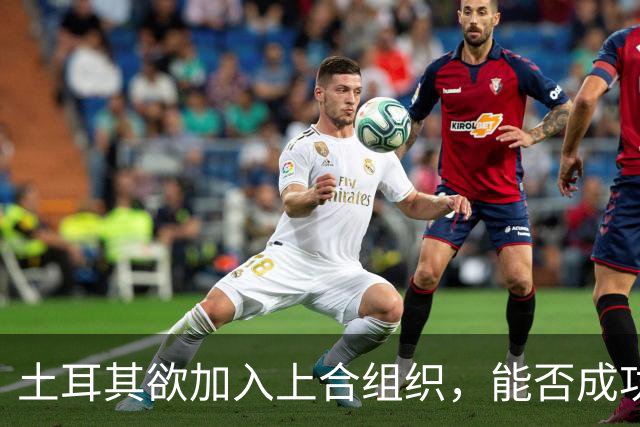 土耳其欲加入上合组织，能否成功面临挑战