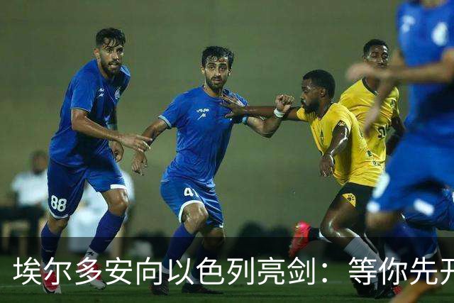 埃尔多安向以色列亮剑：等你先开火，土耳其已备战