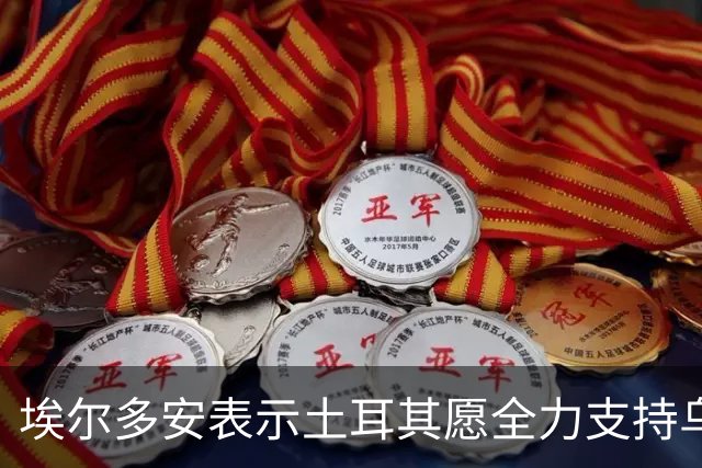 埃尔多安表示土耳其愿全力支持乌克兰和平进程