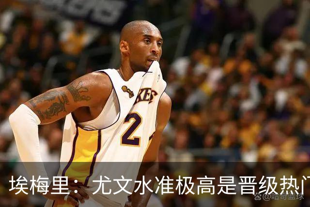 埃梅里：尤文水准极高是晋级热门 但我们不会放弃