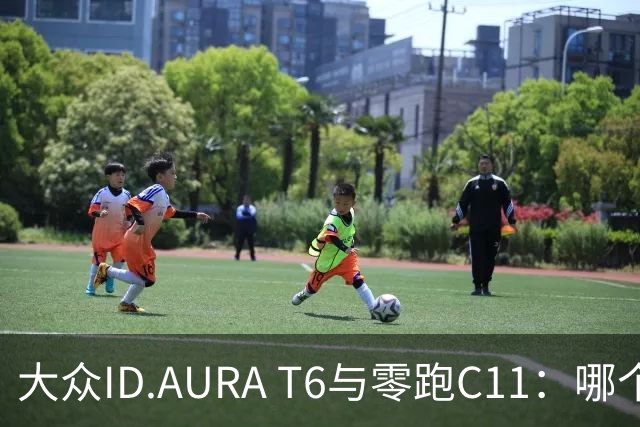 大众ID.AURA T6与零跑C11：哪个电动SUV更具吸引力？