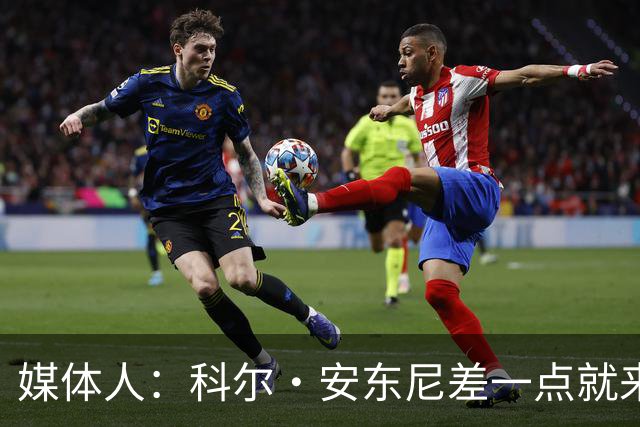 媒体人：科尔·安东尼差一点就来CBA了 因手续的问题双方错过