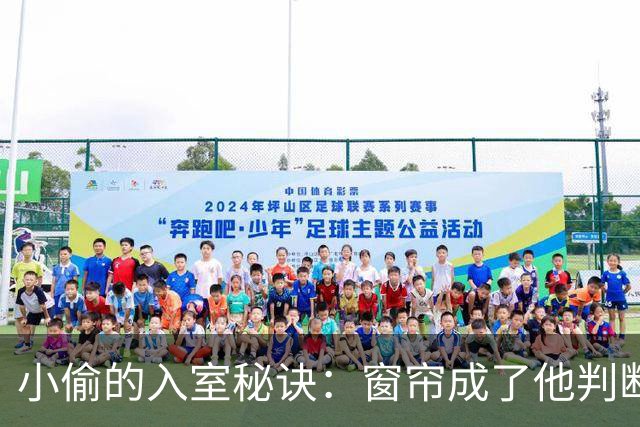 小偷的入室秘诀：窗帘成了他判断的关键