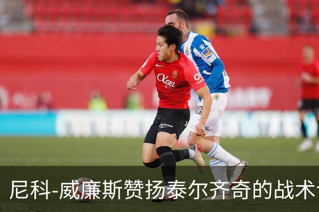 尼科-威廉斯赞扬泰尔齐奇的战术调整与球队表现