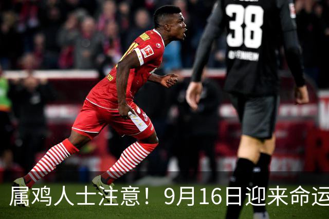 属鸡人士注意！9月16日迎来命运的转机，你的努力终将得到回报