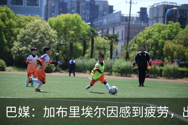 巴媒：加布里埃尔因感到疲劳，出战巴西-埃及的热身赛成疑