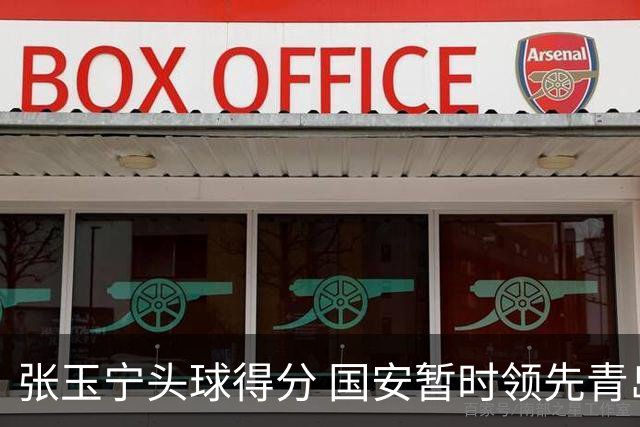 张玉宁头球得分 国安暂时领先青岛