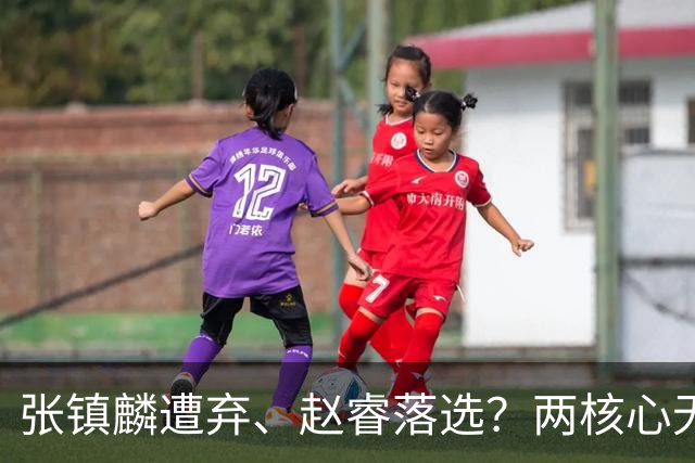 张镇麟遭弃、赵睿落选？两核心无缘国家队，中国男篮大换血为哪般