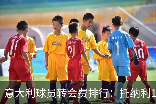 意大利球员转会费排行：托纳利1.08亿欧高居榜首，雷特吉6180万欧