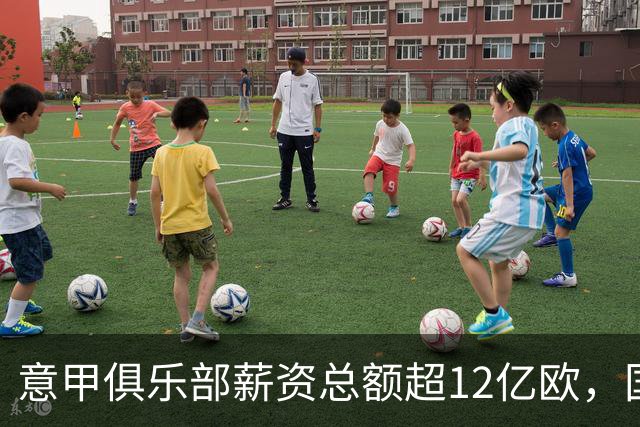 意甲俱乐部薪资总额超12亿欧，国米居首位