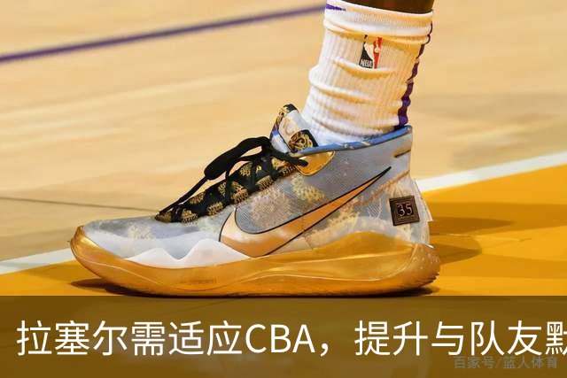 拉塞尔需适应CBA，提升与队友默契