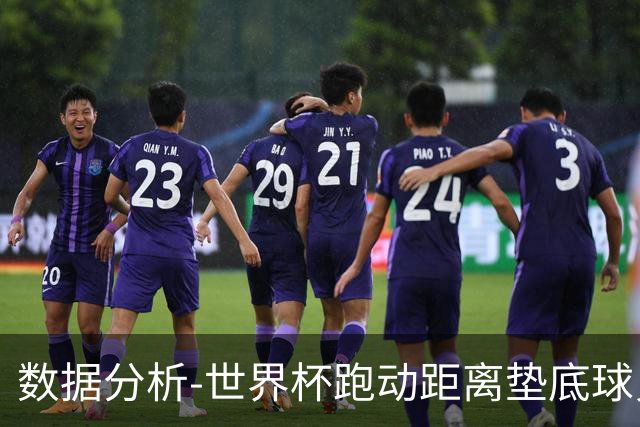 数据分析-世界杯跑动距离垫底球员竟是他 场均步行比例最高
