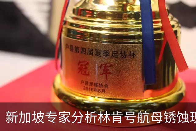 新加坡专家分析林肯号航母锈蚀现象背后的意义