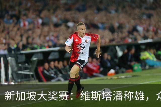 新加坡大奖赛：维斯塔潘称雄，众多车手退赛