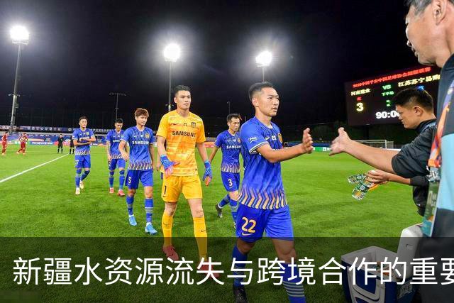 新疆水资源流失与跨境合作的重要性