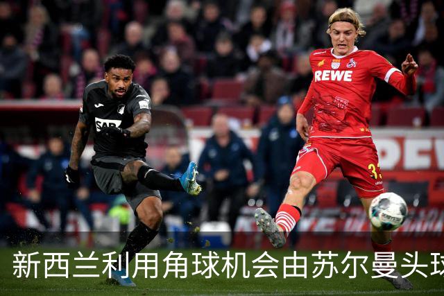 新西兰利用角球机会由苏尔曼头球破门 埃及0-1落后