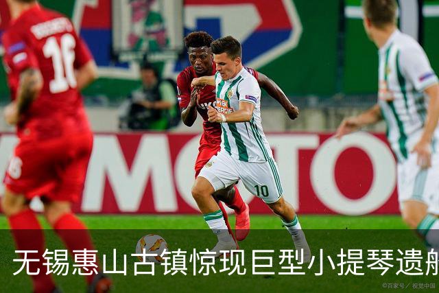 无锡惠山古镇惊现巨型小提琴遗船