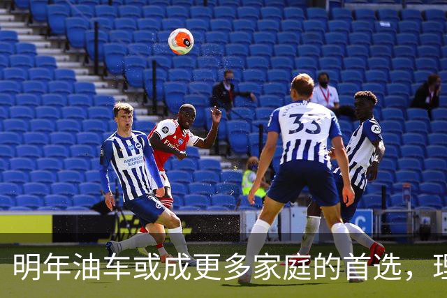 明年油车或成更多家庭的首选，理性消费回归