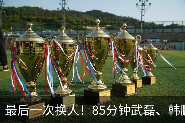 最后一次换人！85分钟武磊、韩鹏飞替补登场，换下韦世豪、朱辰杰