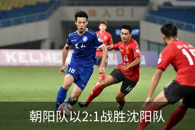 朝阳队以2:1战胜沈阳队