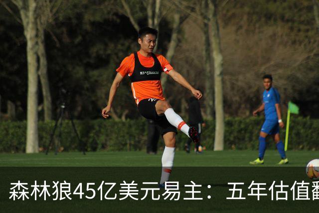 森林狼45亿美元易主：五年估值翻三倍引发竞购热潮